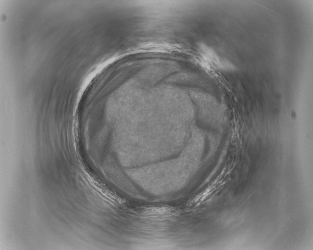 X0000057070342200510071438