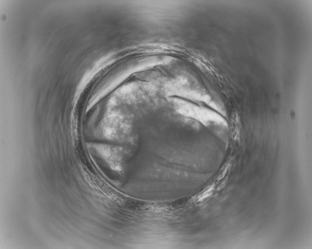 X0000057070343200510071438