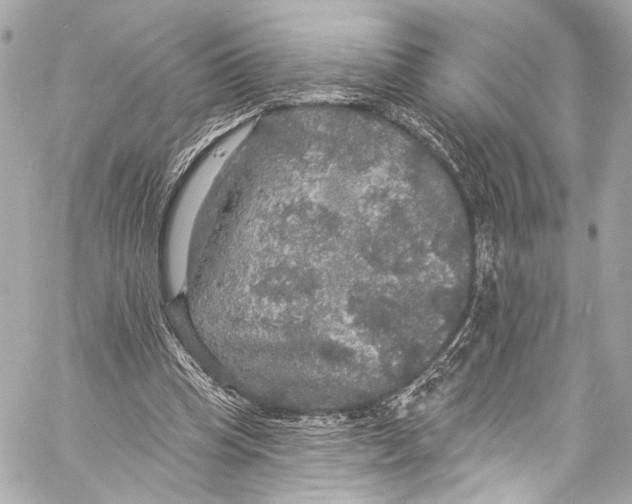 X0000057070345200510071438