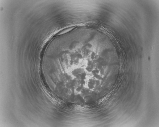 X0000057070346200510071438