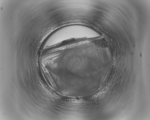 X0000057070347200510071438