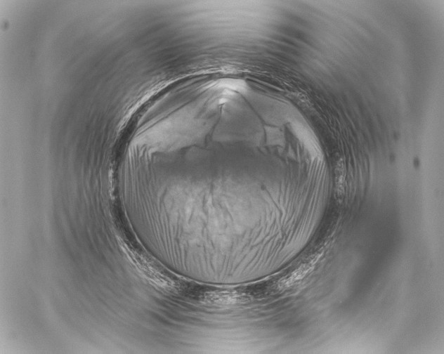 X0000057070351200510071438