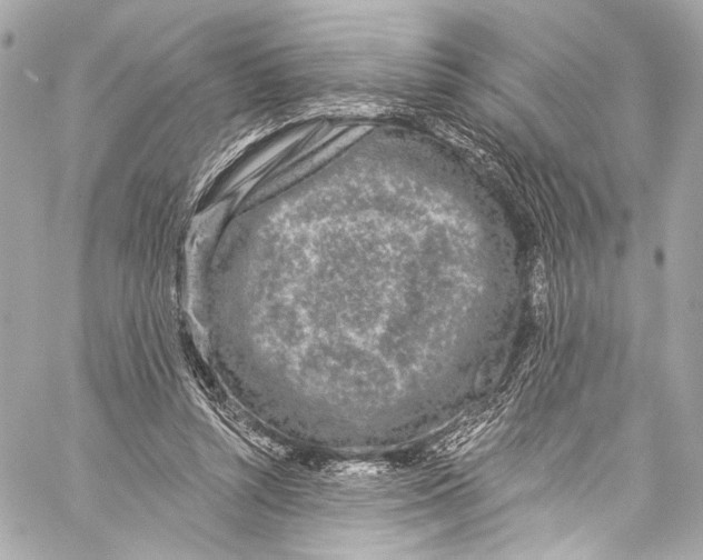 X0000057070352200510071438