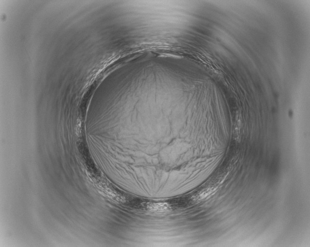 X0000057070355200510071438