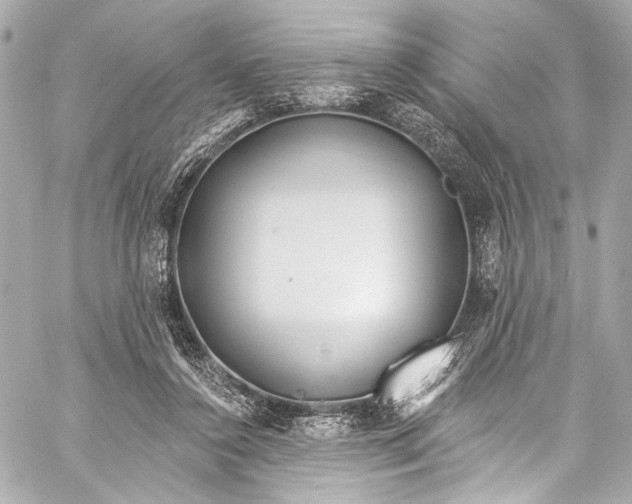 X0000057070356200510071438