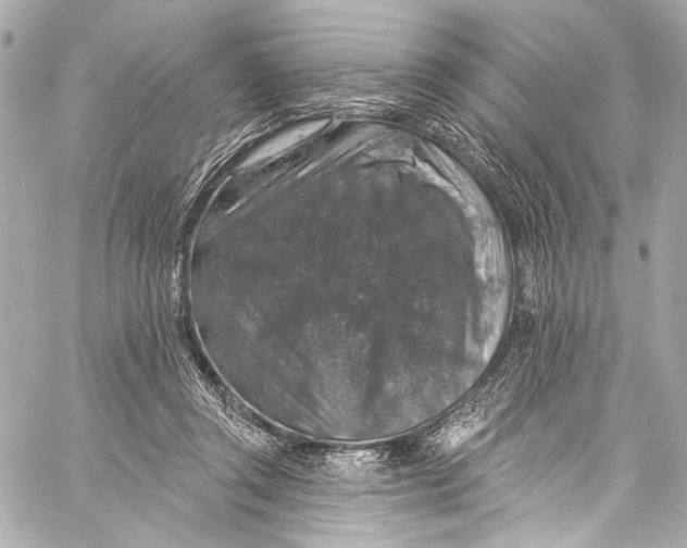 X0000057070357200510071438