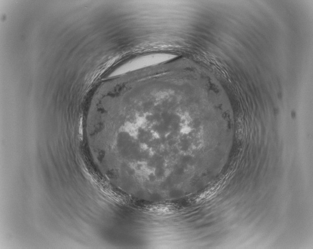 X0000057070358200510071438