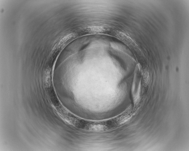 X0000057070360200510071438