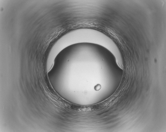 X0000057070362200510071438