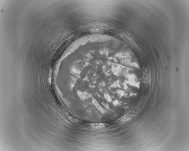 X0000057070363200510071438