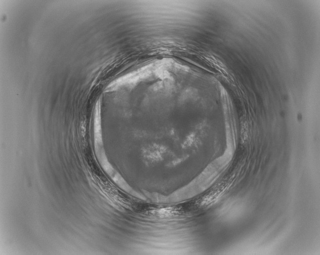 X0000057070365200510071438