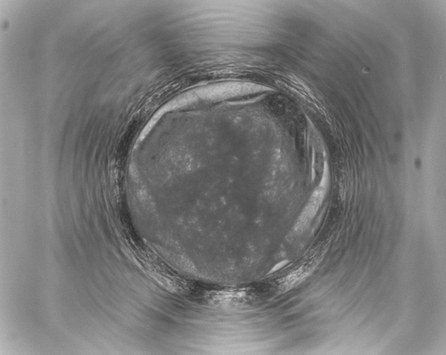 X0000057070366200510071439