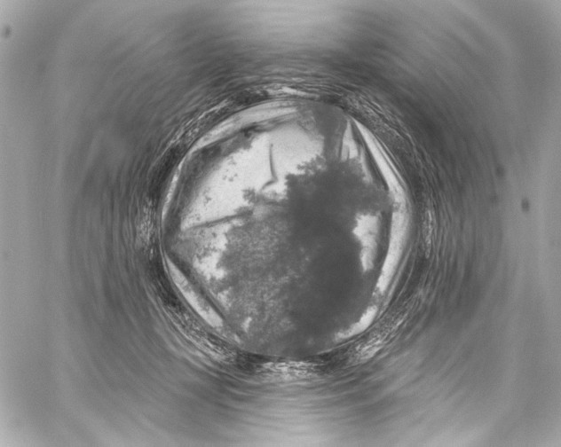 X0000057070367200510071439