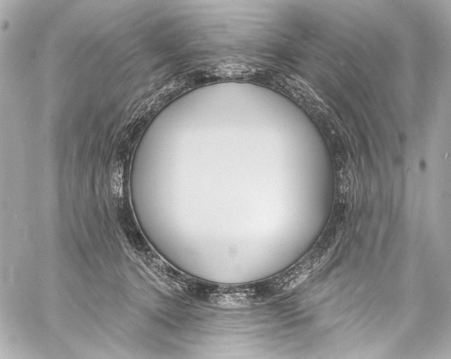 X0000057070368200510071439