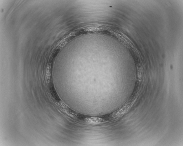 X0000057070372200510071439