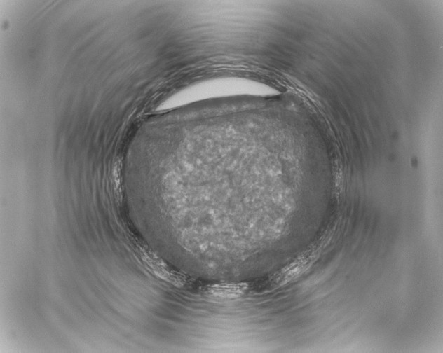 X0000057070373200510071439