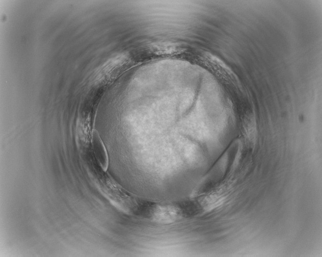 X0000057070376200510071439