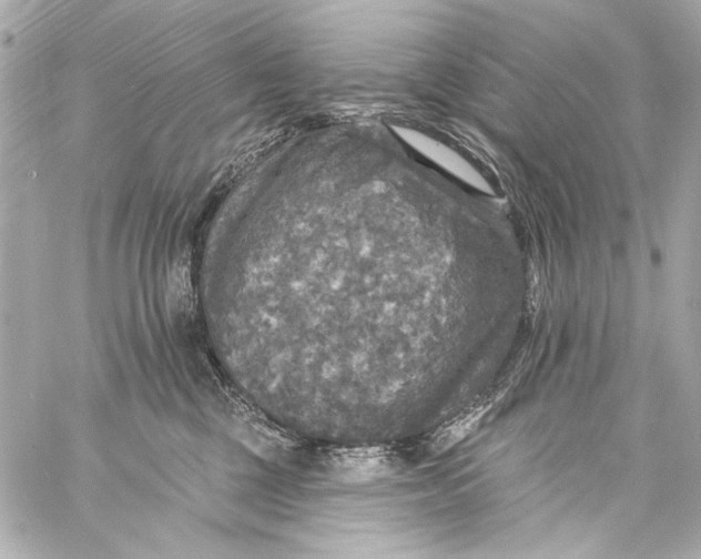 X0000057070377200510071439