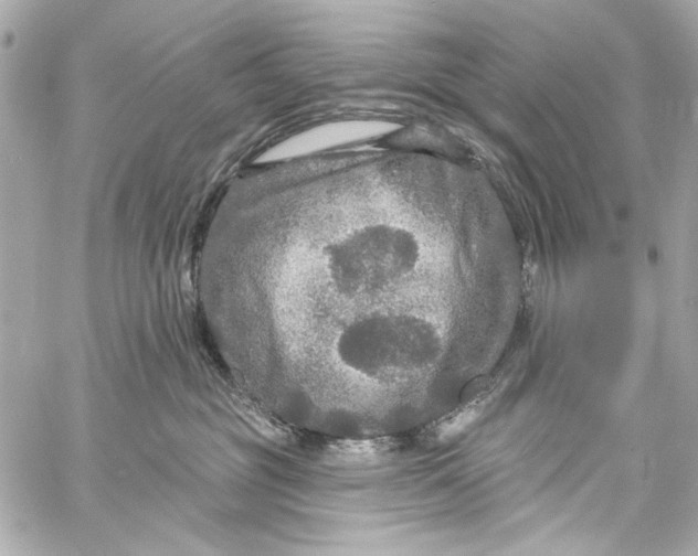 X0000057070381200510071439