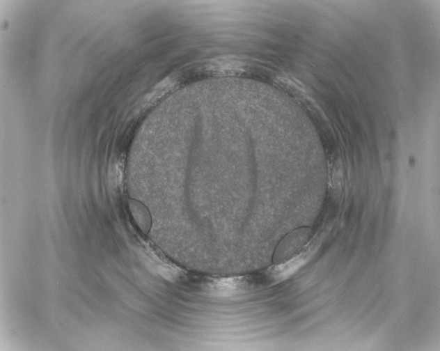 X0000057070382200510071439