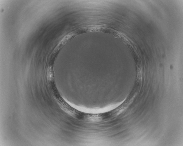 X0000057070383200510071439