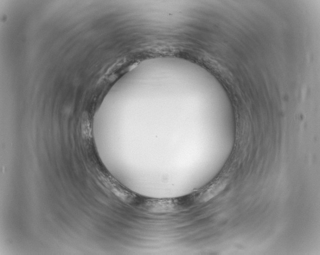 X0000057070384200510071439