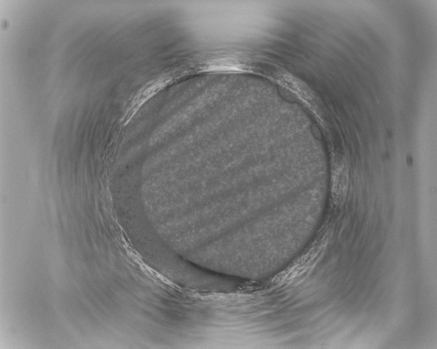 X0000057070385200510071438