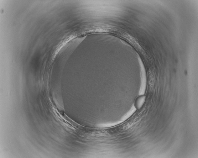 X0000057070386200510071438