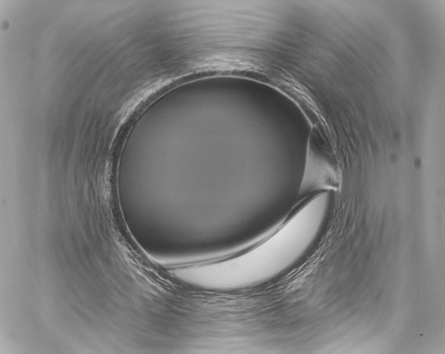 X0000057070387200510071438