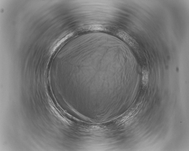 X0000057070390200510071438