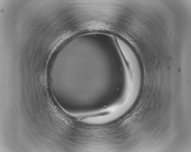 X0000057070391200510071438