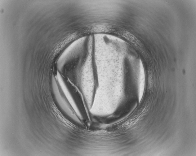 X0000057070393200510071438