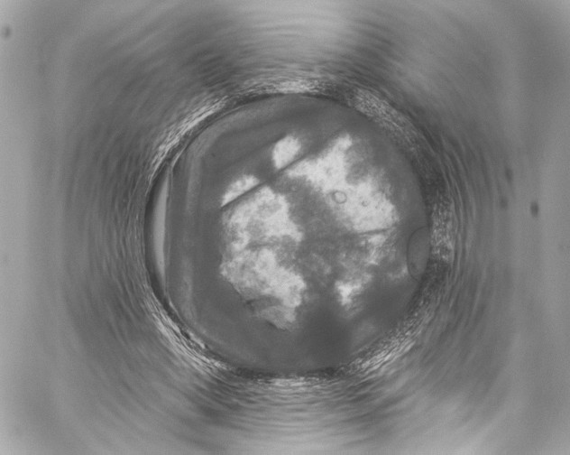 X0000057070394200510071438