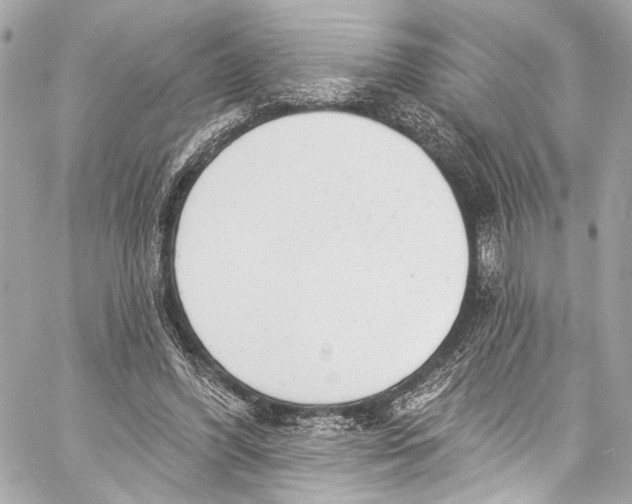 X0000057070396200510071438