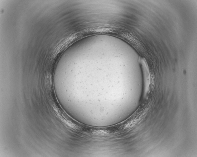 X0000057070397200510071438