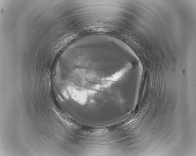 X0000057070398200510071438