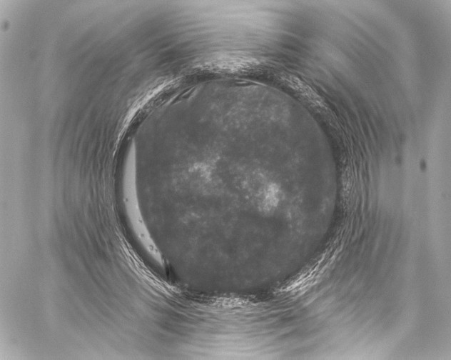 X0000057070399200510071438