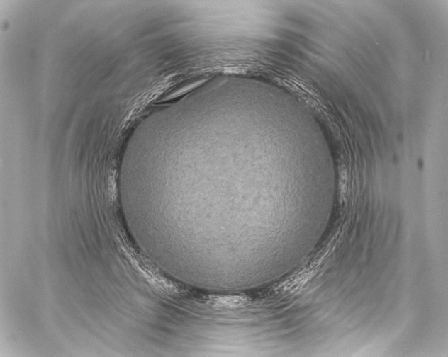 X0000057070401200510071438