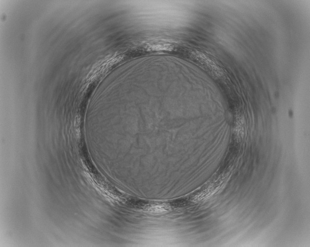 X0000057070402200510071438