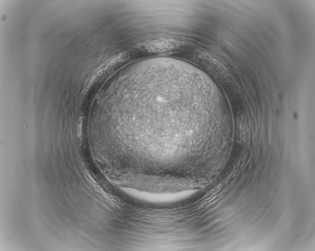 X0000057070404200510071438