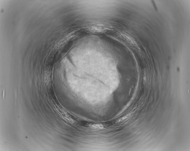 X0000057070409200510071438