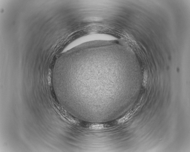 X0000057070413200510071438