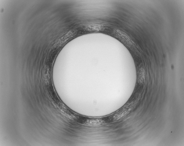 X0000057070414200510071438