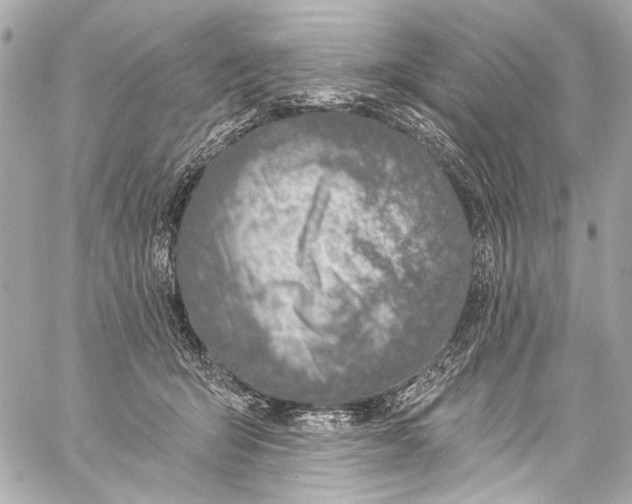 X0000057070415200510071438