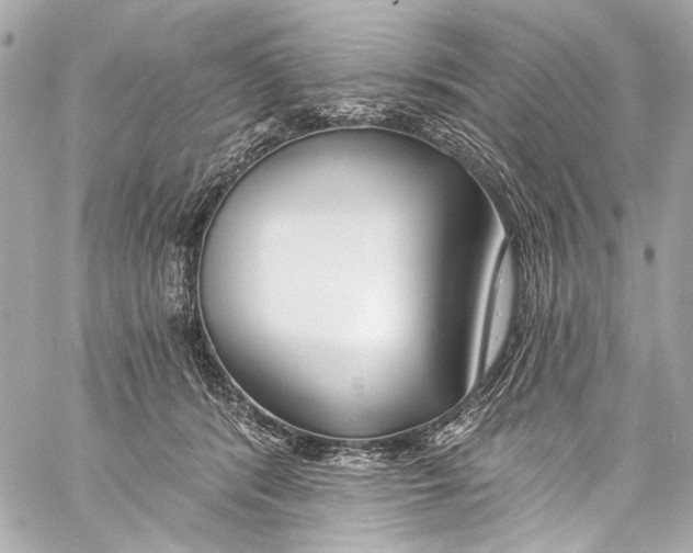 X0000057070416200510071437