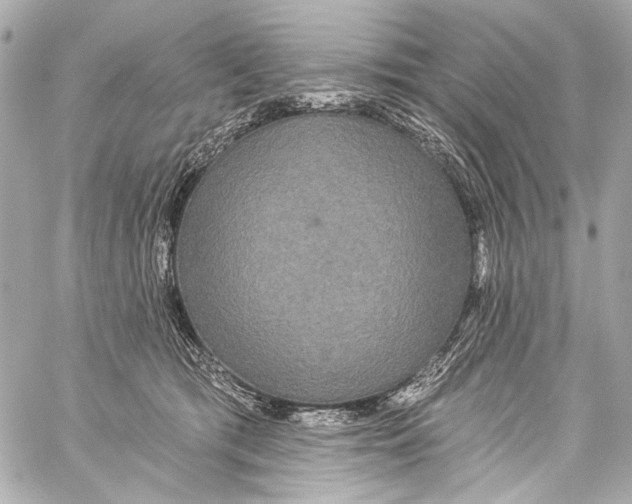 X0000057070417200510071437