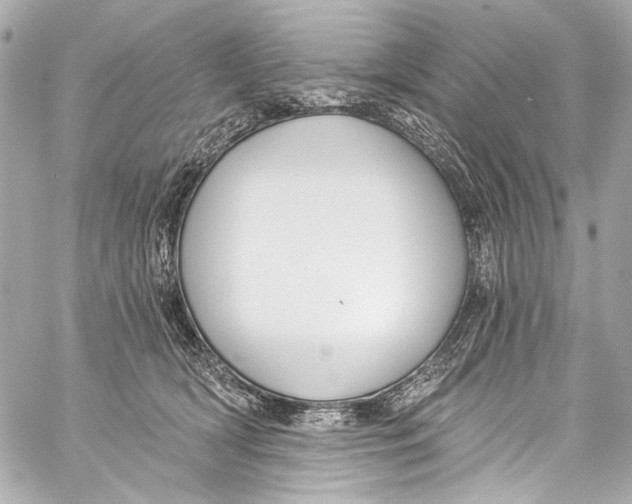 X0000057070418200510071437