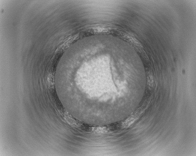 X0000057070419200510071437