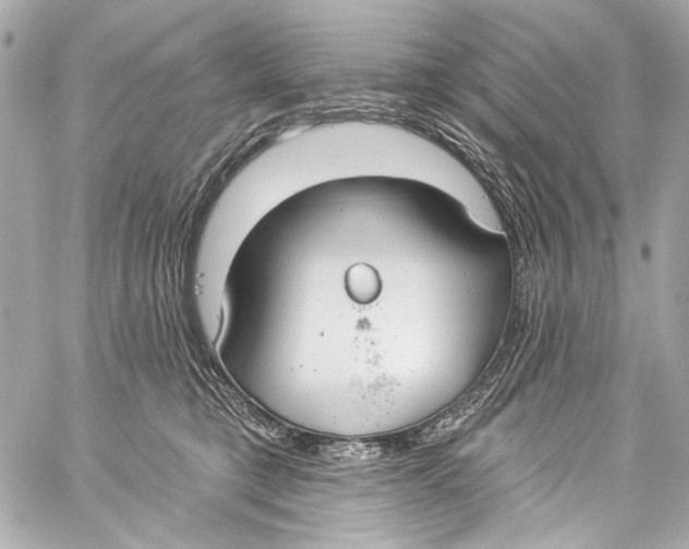 X0000057070421200510071437