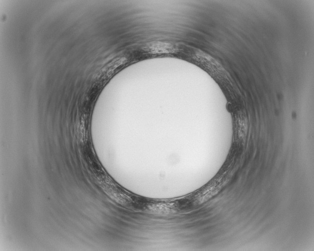 X0000057070422200510071437